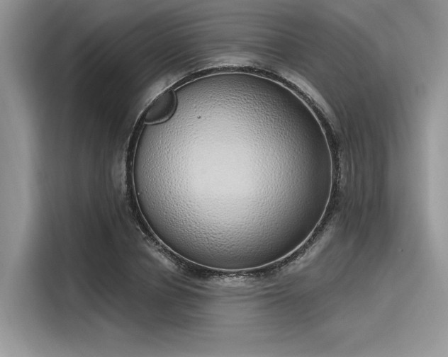 X0000116110834200911301121