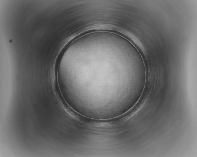 X0000116110837200911301121