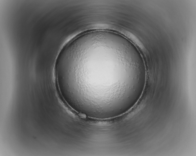 X0000116110839200911301121