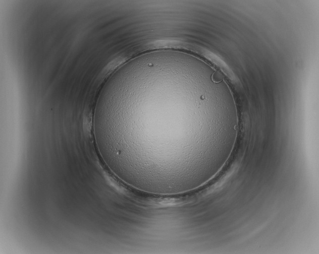 X0000116110841200911301121