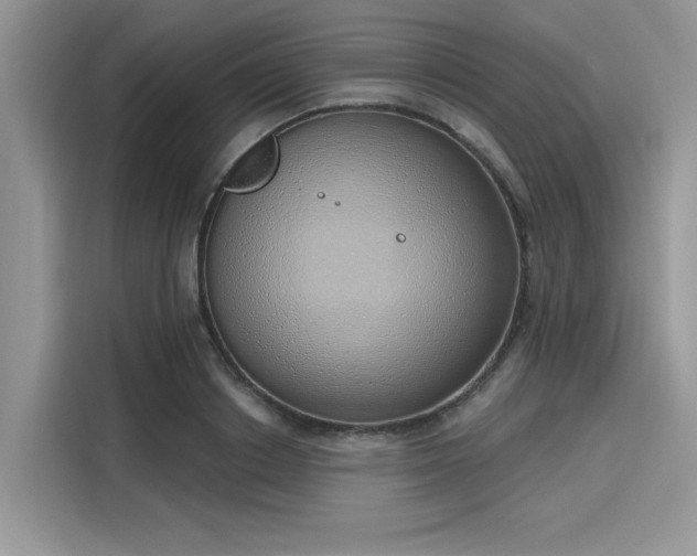 X0000116110842200911301121