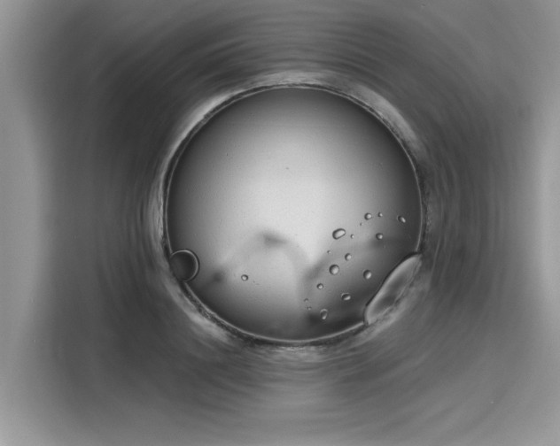 X0000116110844200911301121