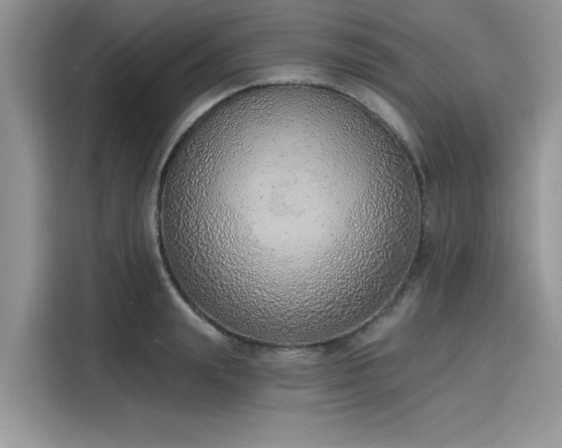 X0000116110847200911301121