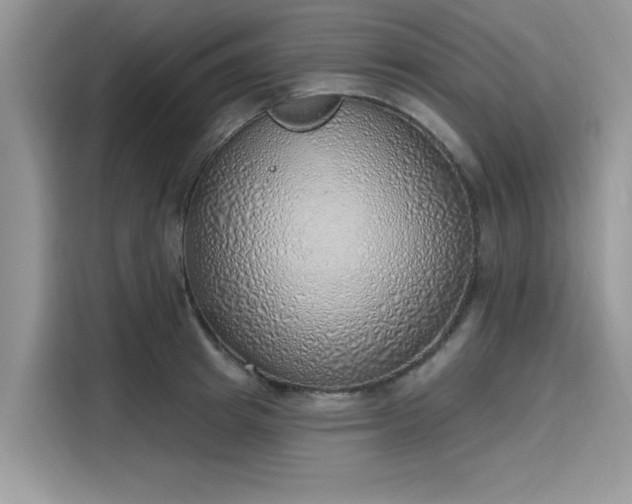 X0000116110849200911301121