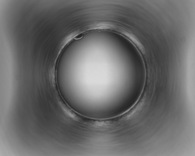 X0000116110850200911301121