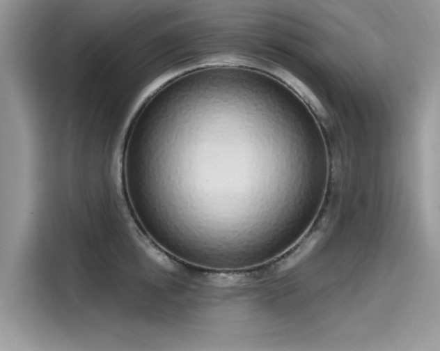 X0000116110854200911301121