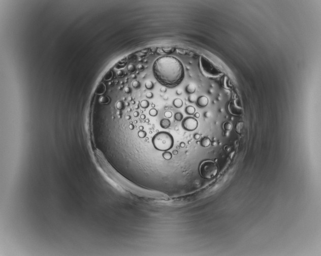 X0000116110855200911301121