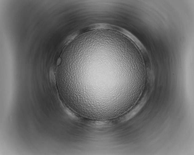 X0000116110857200911301121