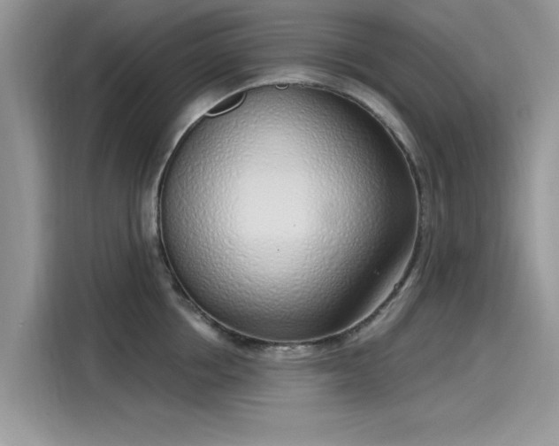 X0000116110858200911301121