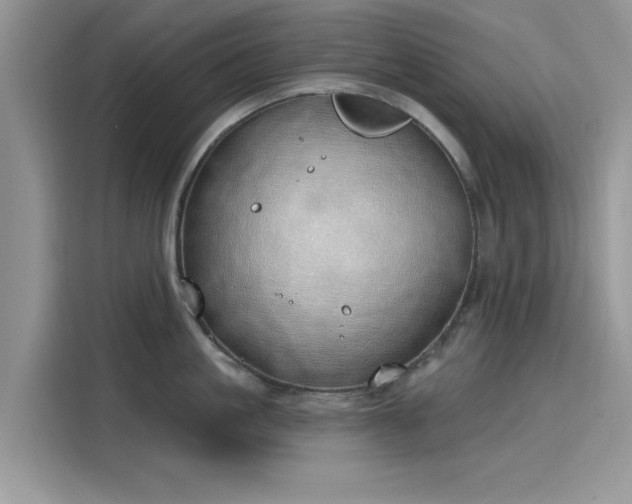 X0000116110861200911301121