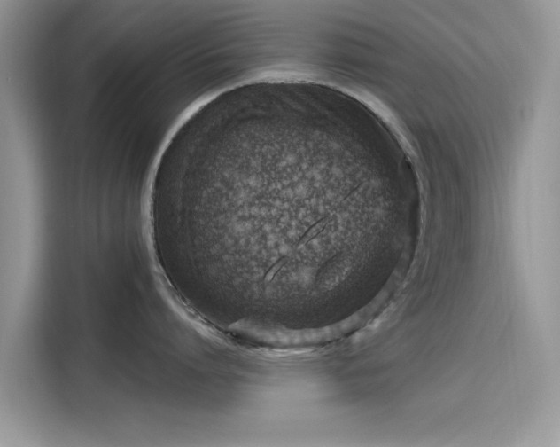 X0000116110864200911301121