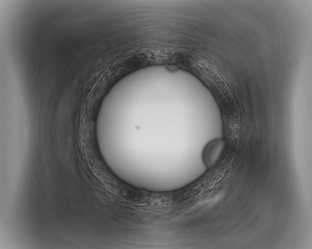 X0000116110865200911301121