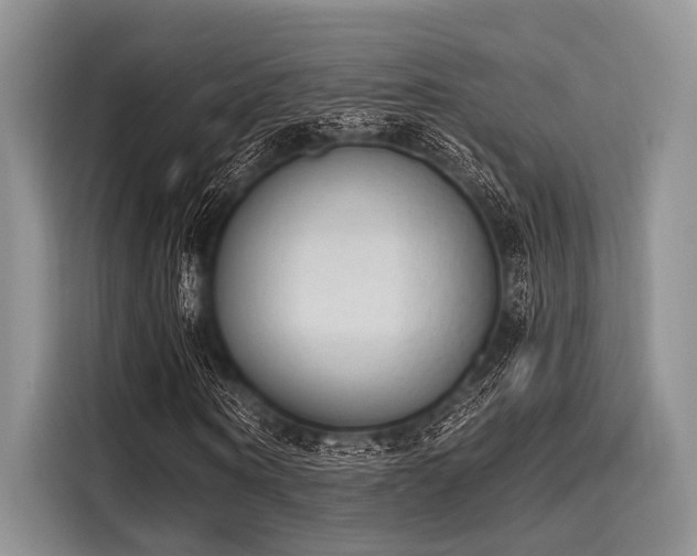 X0000116110866200911301121