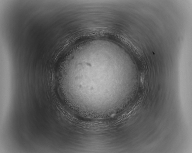 X0000116110867200911301121