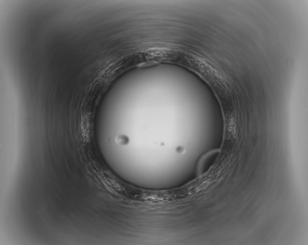 X0000116110868200911301121