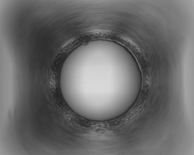 X0000116110869200911301121