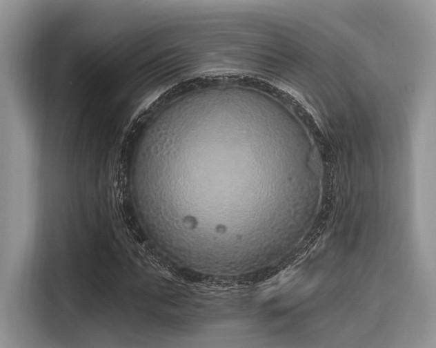 X0000116110871200911301121