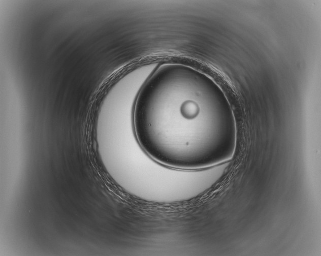 X0000116110872200911301121