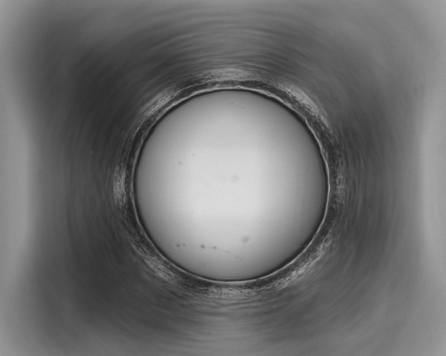 X0000116110873200911301121