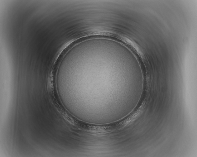 X0000116110875200911301121