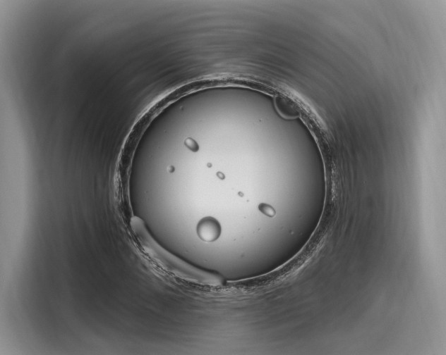 X0000116110876200911301121