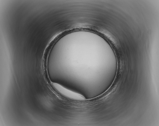 X0000116110878200911301121