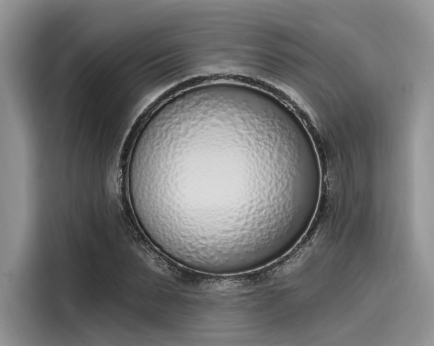 X0000116110879200911301121