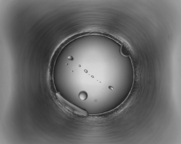 X0000116110880200911301121