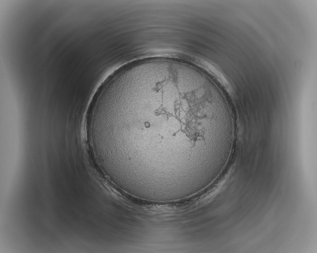 X0000116110883200911301121