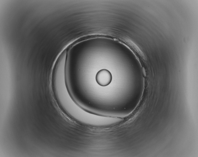 X0000116110884200911301121