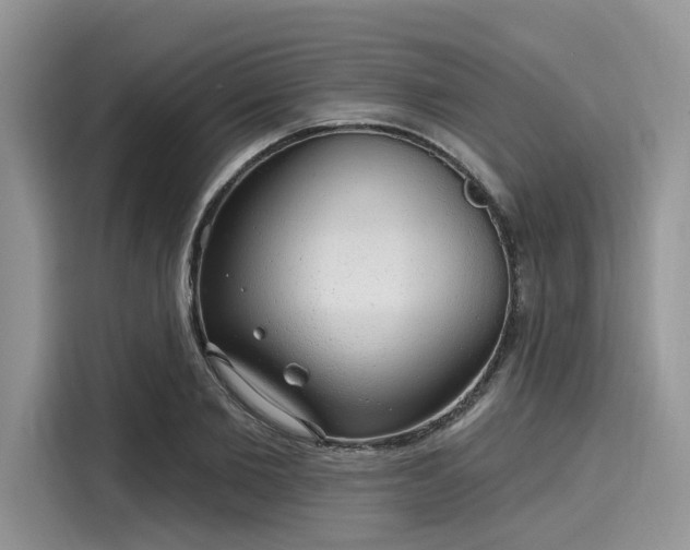 X0000116110885200911301121