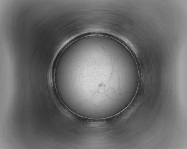 X0000116110887200911301121