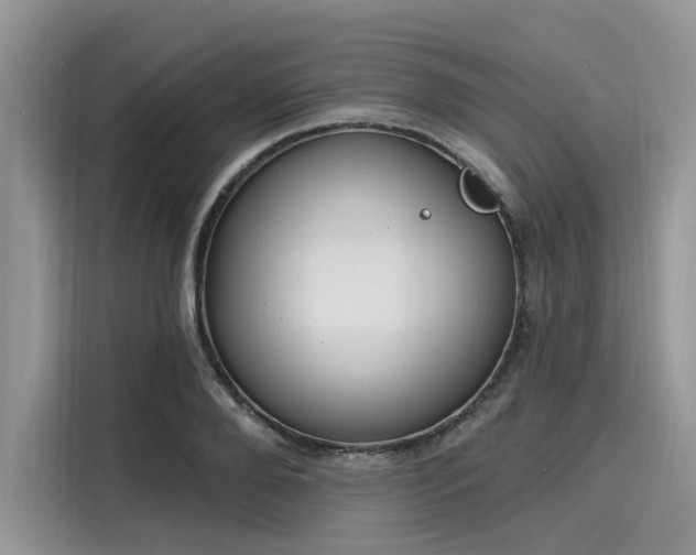 X0000116110888200911301121