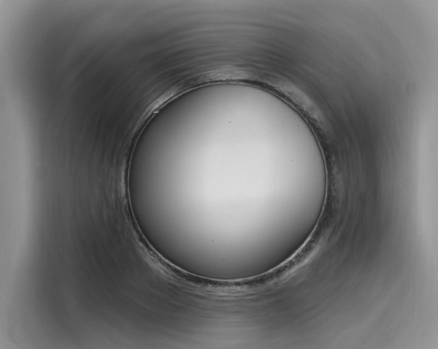 X0000116110889200911301120