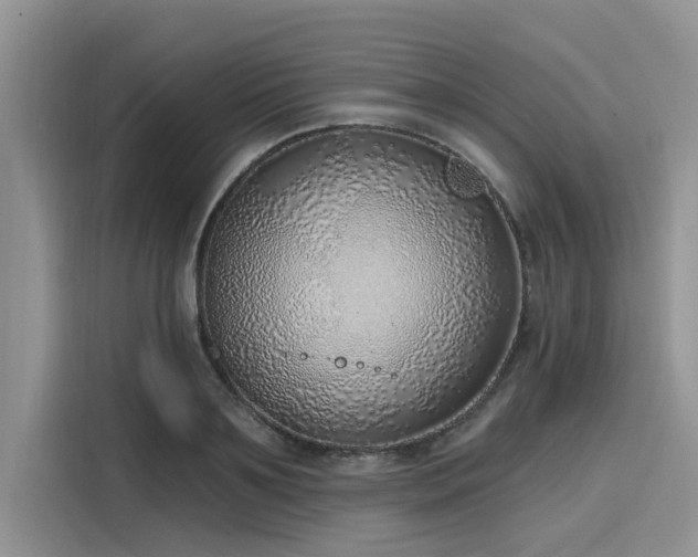 X0000116110891200911301120