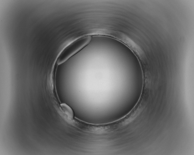 X0000116110892200911301120