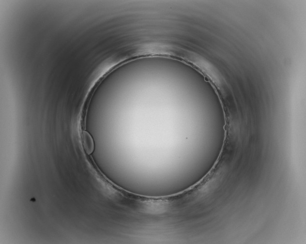 X0000116110893200911301120