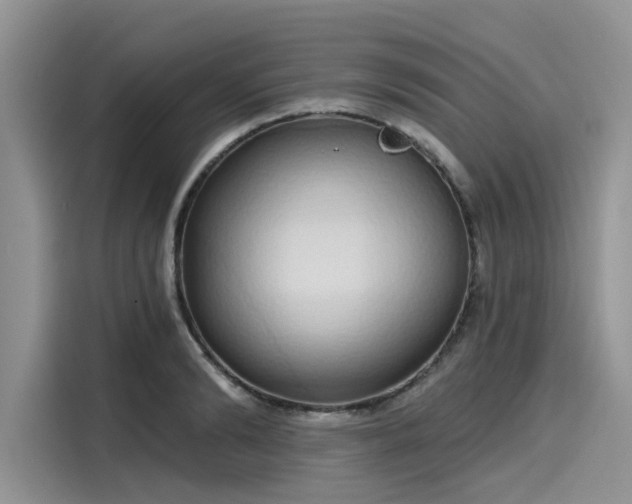 X0000116110894200911301120