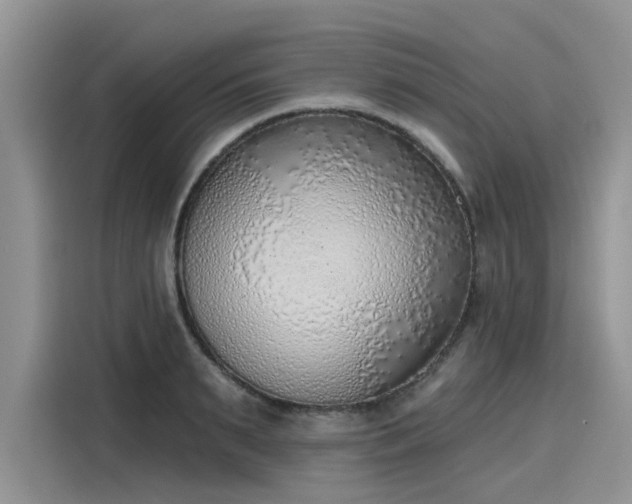 X0000116110895200911301120