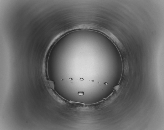 X0000116110896200911301120