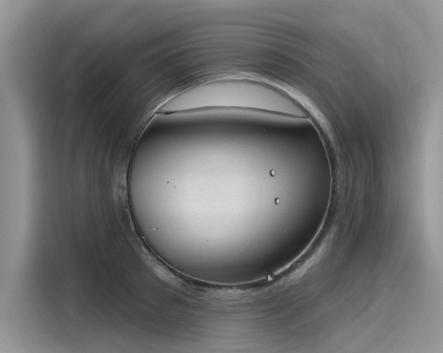 X0000116110897200911301120