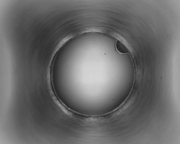 X0000116110898200911301120