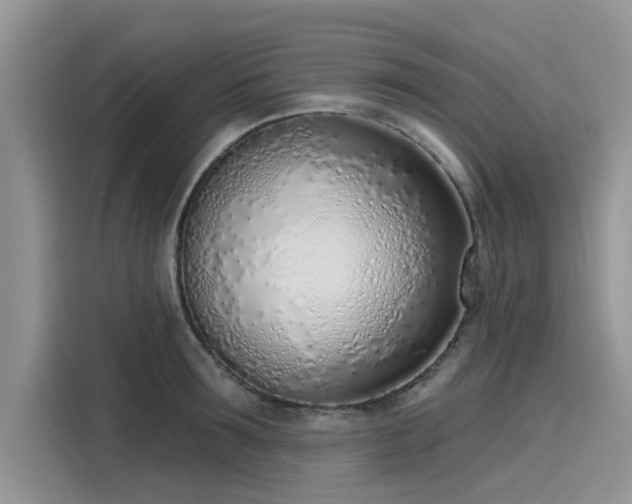 X0000116110899200911301120