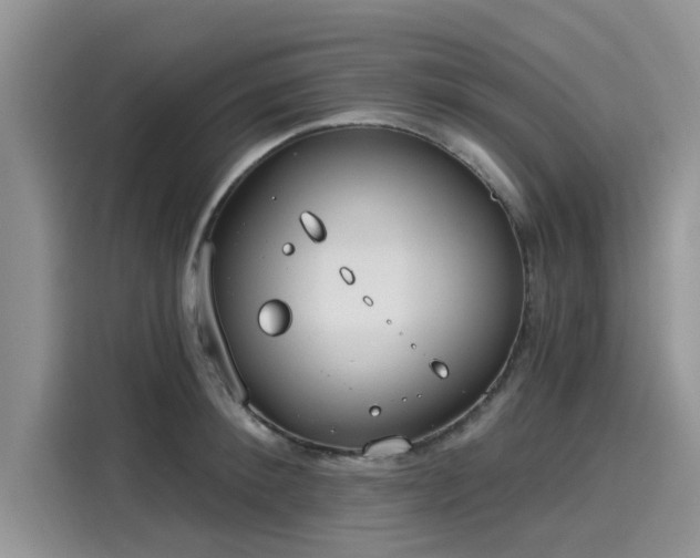 X0000116110900200911301120