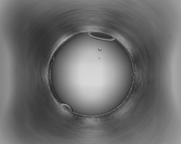 X0000116110901200911301120