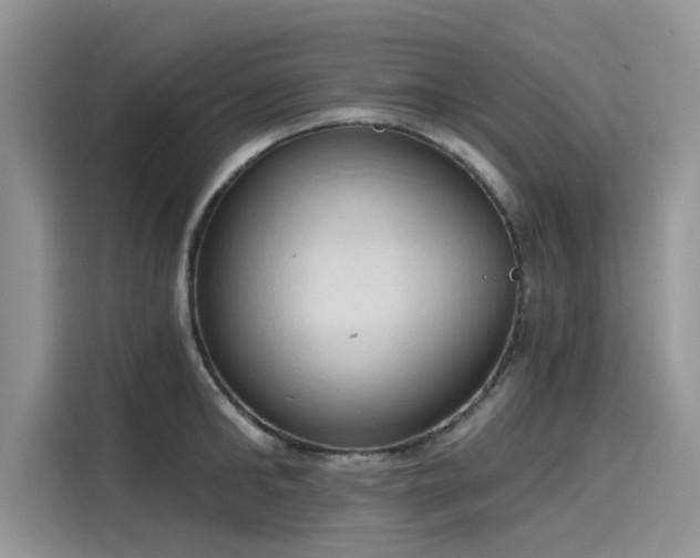 X0000116110902200911301120