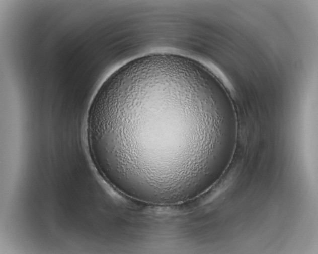 X0000116110903200911301120