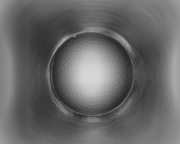 X0000116110907200911301120