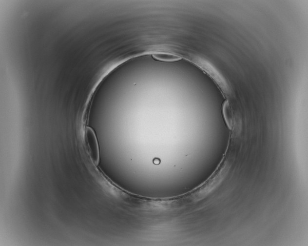 X0000116110908200911301120