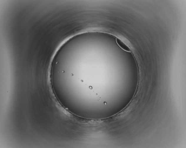 X0000116110912200911301120